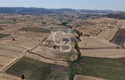 CB KİNG'DEN BALIKESİR/PAŞAKÖY MAHALLESİ 27905m² SATILIK TARLA