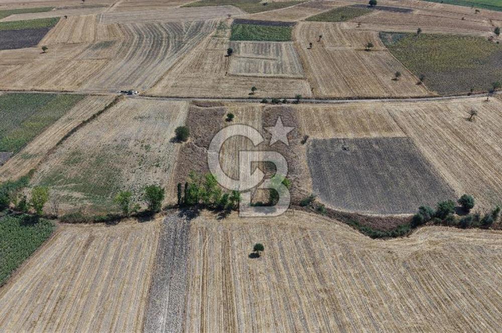 CB KİNG'DEN BALIKESİR/PAŞAKÖY MAHALLESİ 27905m² SATILIK TARLA