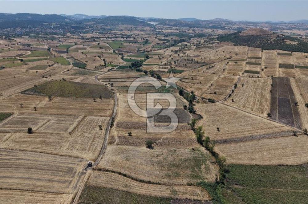 CB KİNG'DEN BALIKESİR/PAŞAKÖY MAHALLESİ 27905m² SATILIK TARLA