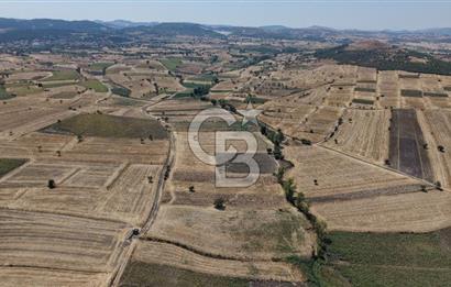 CB KİNG'DEN BALIKESİR/PAŞAKÖY MAHALLESİ 5600m² SATILIK TARLA
