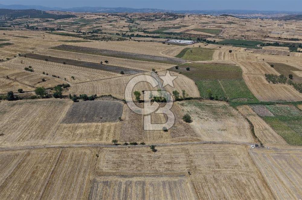 CB KİNG'DEN BALIKESİR/PAŞAKÖY MAHALLESİ 27905m² SATILIK TARLA