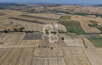 CB KİNG'DEN BALIKESİR/PAŞAKÖY MAHALLESİ 27905m² SATILIK TARLA