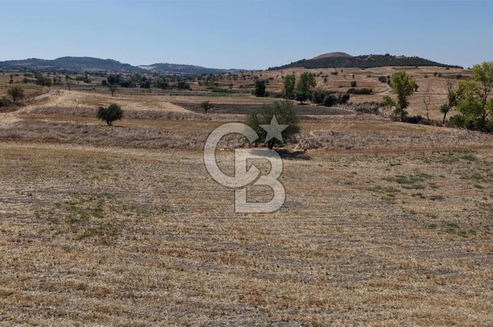 CB KİNG'DEN BALIKESİR/PAŞAKÖY MAHALLESİ 27905m² SATILIK TARLA
