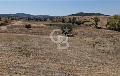 CB KİNG'DEN BALIKESİR/PAŞAKÖY MAHALLESİ 27905m² SATILIK TARLA