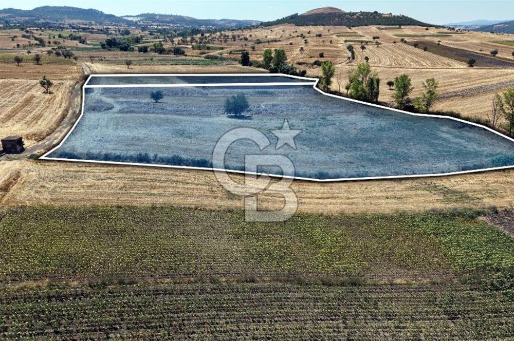 CB KİNG'DEN BALIKESİR/PAŞAKÖY MAHALLESİ 27905m² SATILIK TARLA