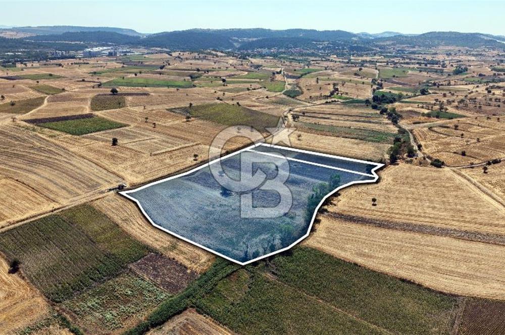 CB KİNG'DEN BALIKESİR/PAŞAKÖY MAHALLESİ 5600m² SATILIK TARLA