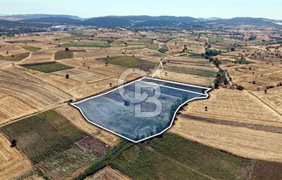 CB KİNG'DEN BALIKESİR/PAŞAKÖY MAHALLESİ 5600m² SATILIK TARLA
