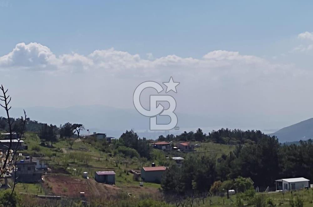İzmir Damlacık Kömürcü Mevkii'nde Doğayla İç İçe Fırsat Arsa