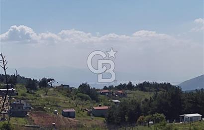 İzmir Damlacık Kömürcü Mevkii'nde Doğayla İç İçe Fırsat Arsa