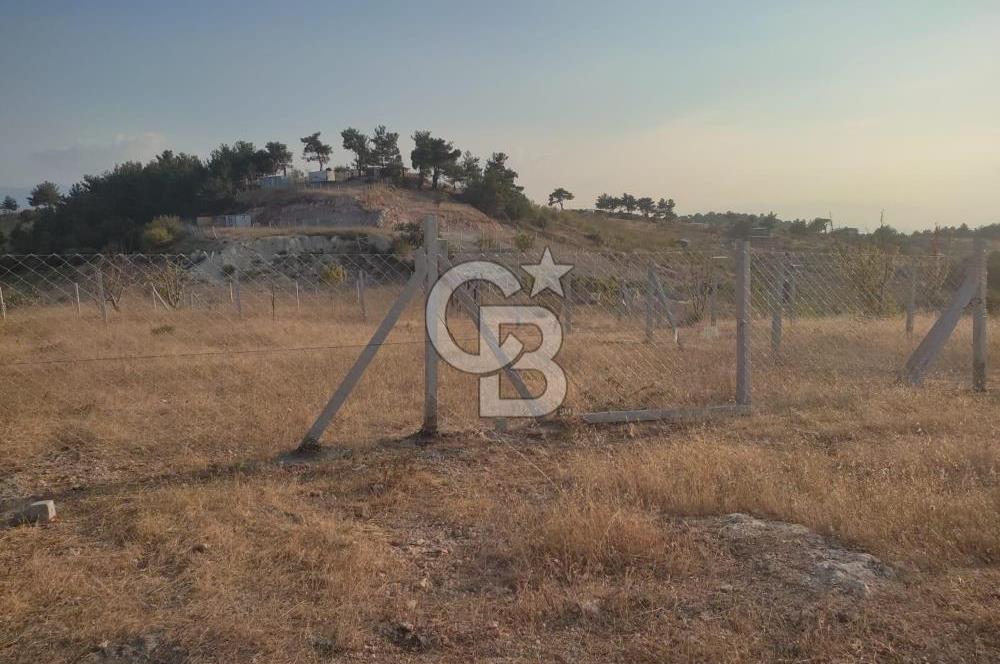 İzmir Damlacık Kömürcü Mevkii'nde Doğayla İç İçe Fırsat Arsa