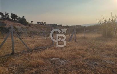 İzmir Damlacık Kömürcü Mevkii'nde Doğayla İç İçe Fırsat Arsa