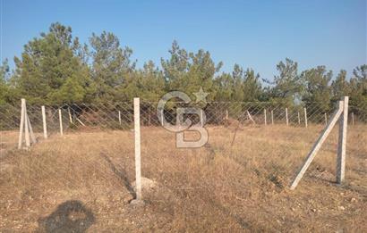 İzmir Damlacık Kömürcü Mevkii'nde Doğayla İç İçe Fırsat Arsa