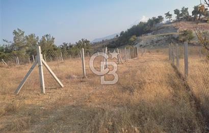 İzmir Damlacık Kömürcü Mevkii'nde Doğayla İç İçe Fırsat Arsa