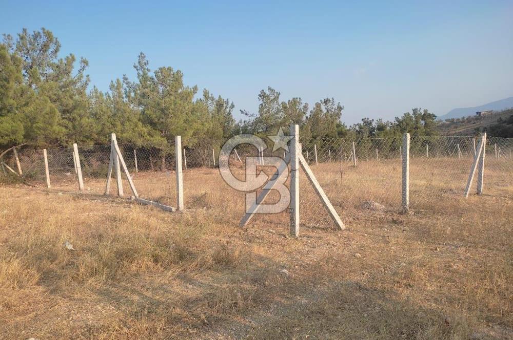 İzmir Damlacık Kömürcü Mevkii'nde Doğayla İç İçe Fırsat Arsa