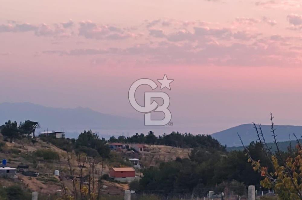 İzmir Damlacık Kömürcü Mevkii'nde Doğayla İç İçe Fırsat Arsa