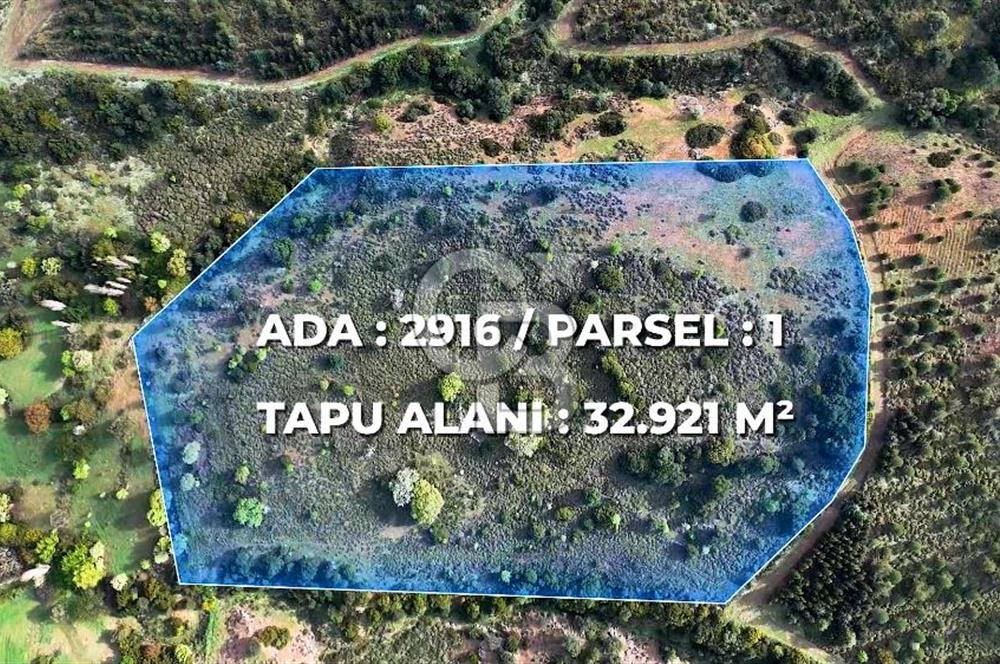 Urla Ovacık'ta 33 Dönüm Tarla Satılık