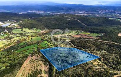 Urla Ovacık'ta 33 Dönüm Tarla Satılık