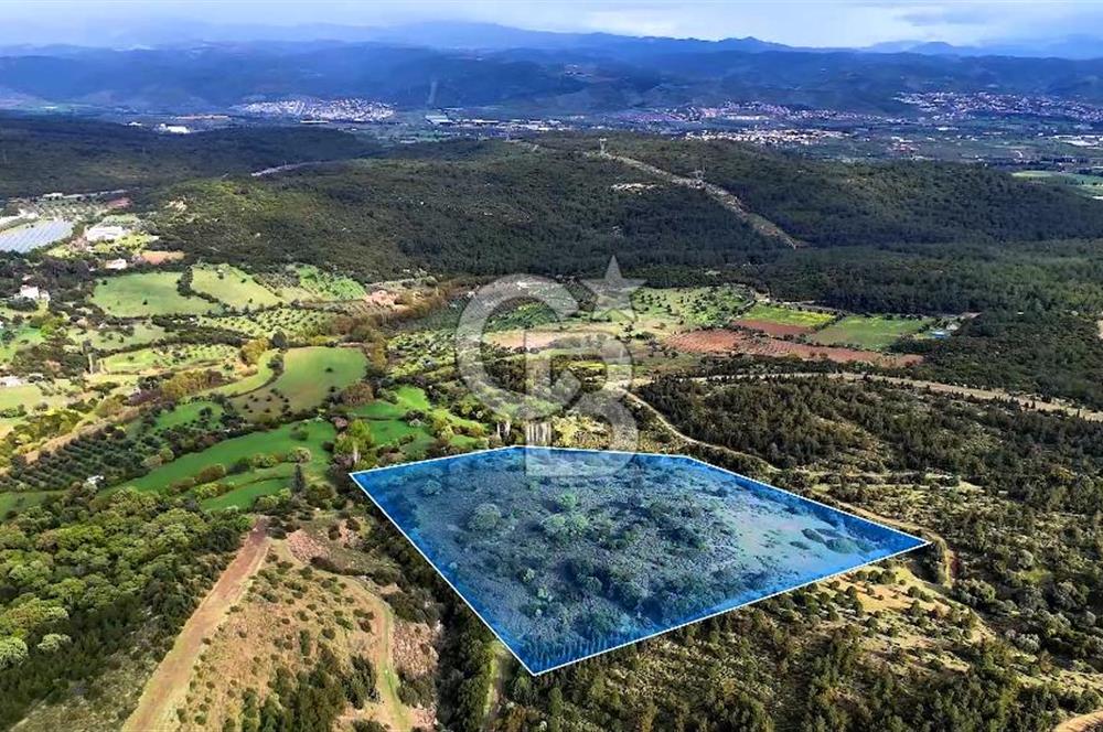 Urla Ovacık'ta 33 Dönüm Tarla Satılık