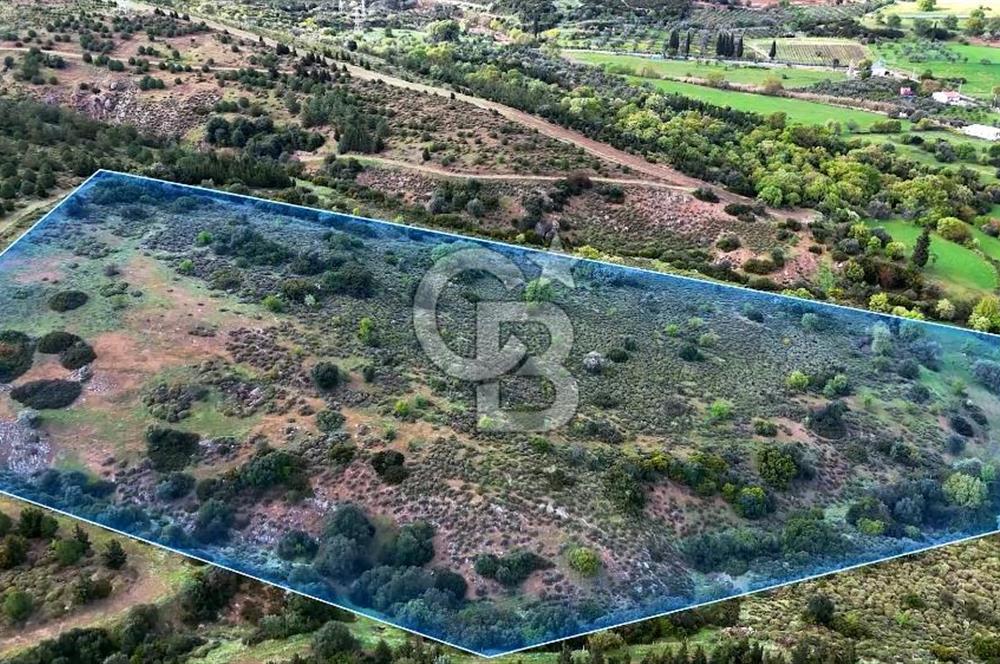 Urla Ovacık'ta 33 Dönüm Tarla Satılık