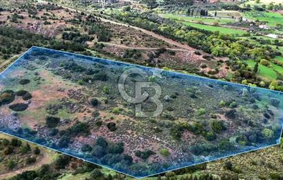 Urla Ovacık'ta 33 Dönüm Tarla Satılık