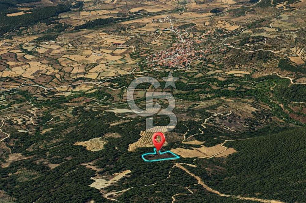 MUĞLA MENTEŞE GÖKTEPE MAHALLESİ'NDE SATILIK 6.387 m² TARLA