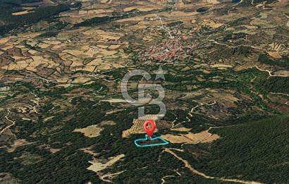 MUĞLA MENTEŞE GÖKTEPE MAHALLESİ'NDE SATILIK 6.387 m² TARLA