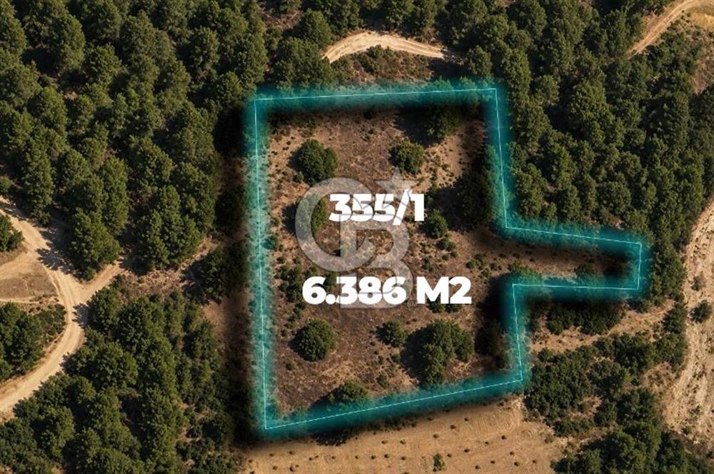 MUĞLA MENTEŞE GÖKTEPE MAHALLESİ'NDE SATILIK 6.387 m² TARLA
