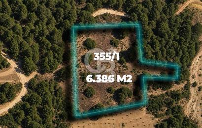 MUĞLA MENTEŞE GÖKTEPE MAHALLESİ'NDE SATILIK 6.387 m² TARLA