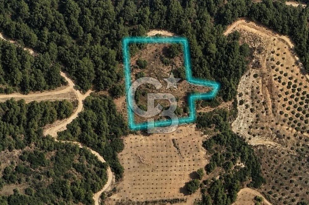 MUĞLA MENTEŞE GÖKTEPE MAHALLESİ'NDE SATILIK 6.387 m² TARLA