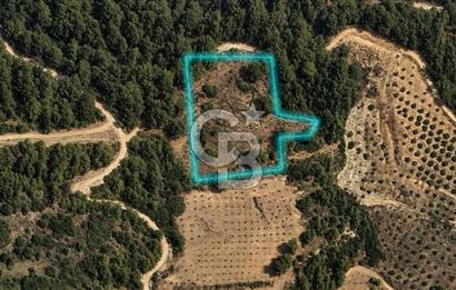 MUĞLA MENTEŞE GÖKTEPE MAHALLESİ'NDE SATILIK 6.387 m² TARLA