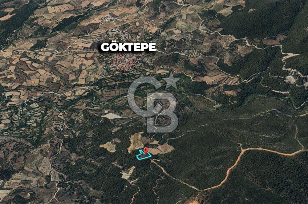 MUĞLA MENTEŞE GÖKTEPE MAHALLESİ'NDE SATILIK 6.387 m² TARLA