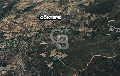 MUĞLA MENTEŞE GÖKTEPE MAHALLESİ'NDE SATILIK 6.387 m² TARLA