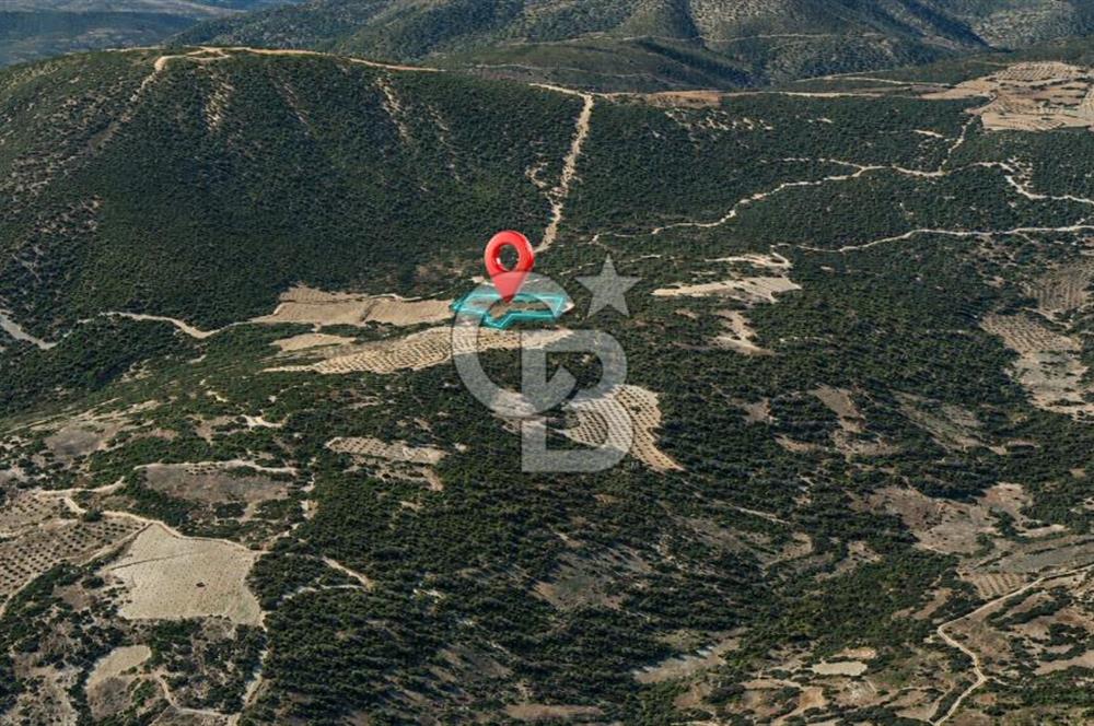 MUĞLA MENTEŞE GÖKTEPE MAHALLESİ'NDE SATILIK 6.387 m² TARLA