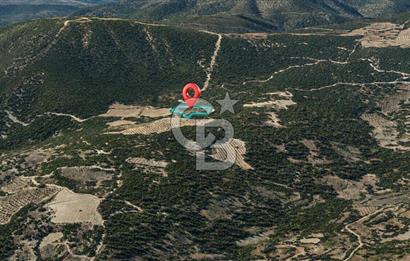 MUĞLA MENTEŞE GÖKTEPE MAHALLESİ'NDE SATILIK 6.387 m² TARLA