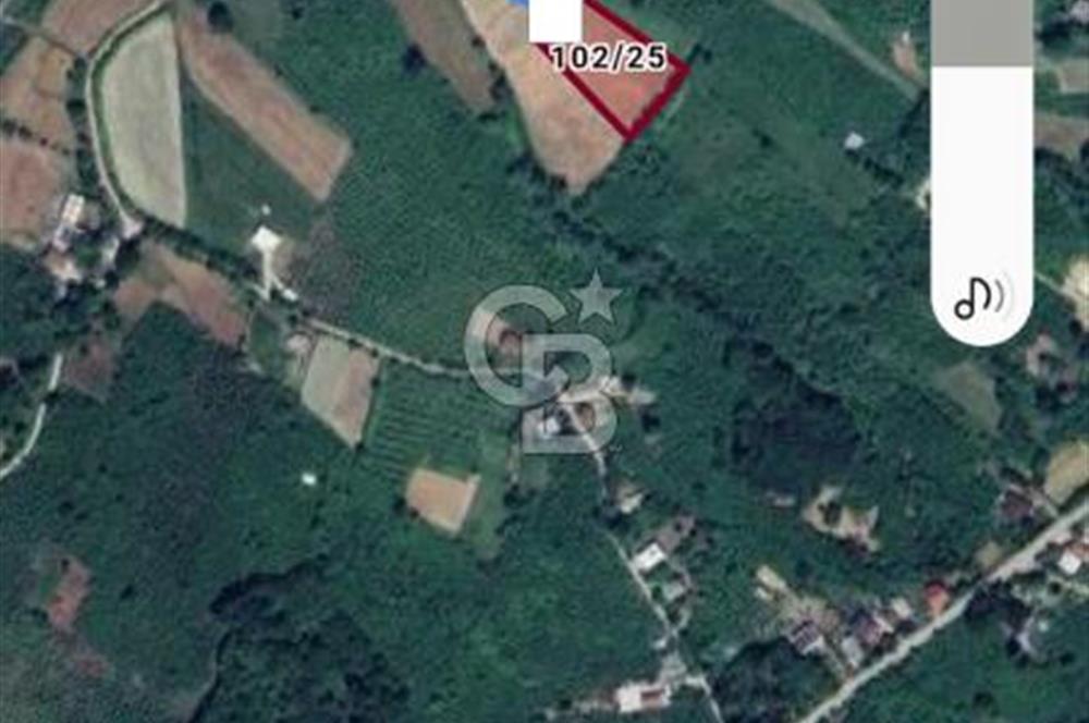 Sakarya Kaynarca Arsa