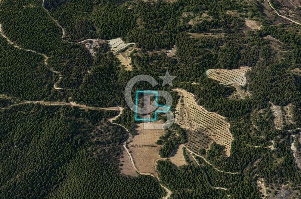 MUĞLA MENTEŞE GÖKTEPE MAHALLESİ'NDE SATILIK 6.387 m² TARLA