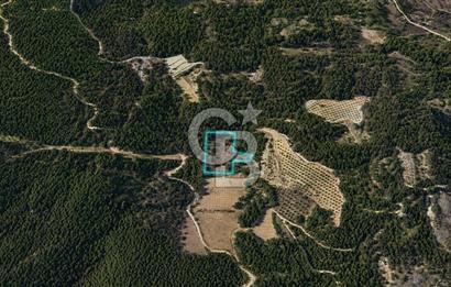 MUĞLA MENTEŞE GÖKTEPE MAHALLESİ'NDE SATILIK 6.387 m² TARLA