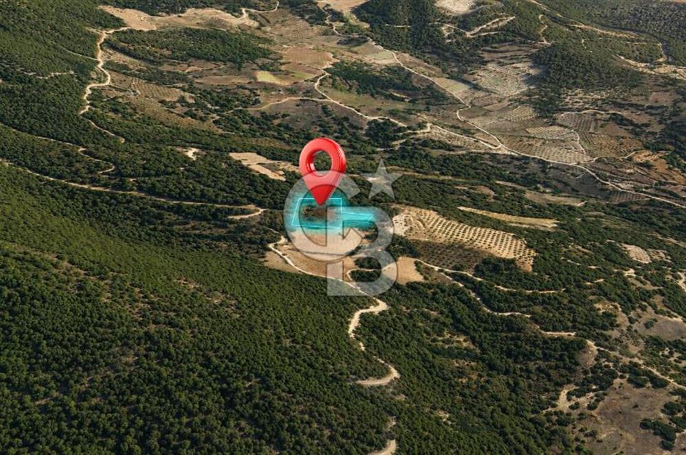 MUĞLA MENTEŞE GÖKTEPE MAHALLESİ'NDE SATILIK 6.387 m² TARLA