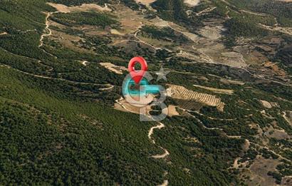 MUĞLA MENTEŞE GÖKTEPE MAHALLESİ'NDE SATILIK 6.387 m² TARLA