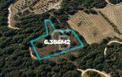 MUĞLA MENTEŞE GÖKTEPE MAHALLESİ'NDE SATILIK 6.387 m² TARLA