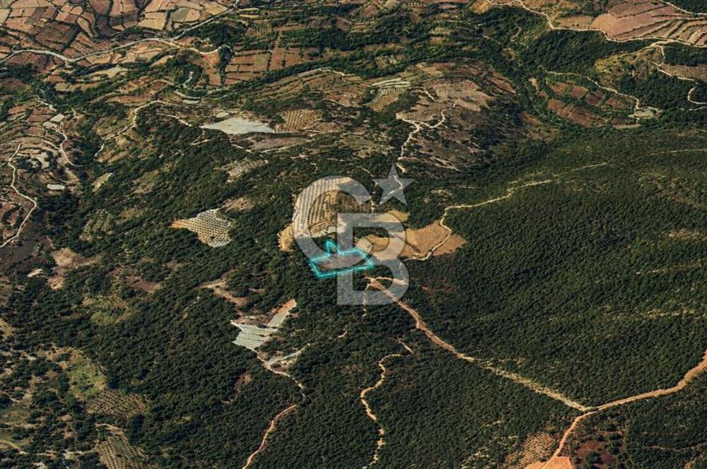MUĞLA MENTEŞE GÖKTEPE MAHALLESİ'NDE SATILIK 6.387 m² TARLA