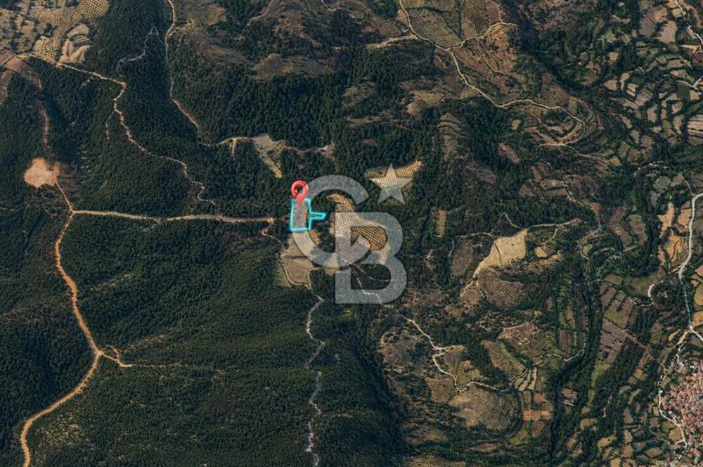 MUĞLA MENTEŞE GÖKTEPE MAHALLESİ'NDE SATILIK 6.387 m² TARLA