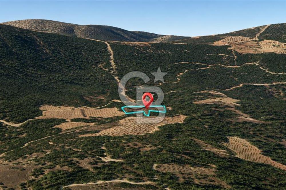 MUĞLA MENTEŞE GÖKTEPE MAHALLESİ'NDE SATILIK 6.387 m² TARLA