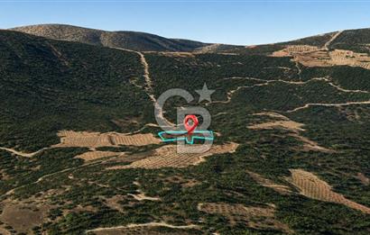 MUĞLA MENTEŞE GÖKTEPE MAHALLESİ'NDE SATILIK 6.387 m² TARLA