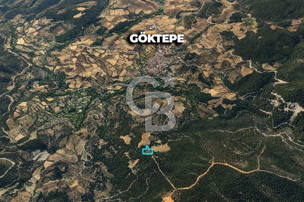 MUĞLA MENTEŞE GÖKTEPE MAHALLESİ'NDE SATILIK 6.387 m² TARLA