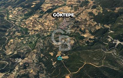 MUĞLA MENTEŞE GÖKTEPE MAHALLESİ'NDE SATILIK 6.387 m² TARLA