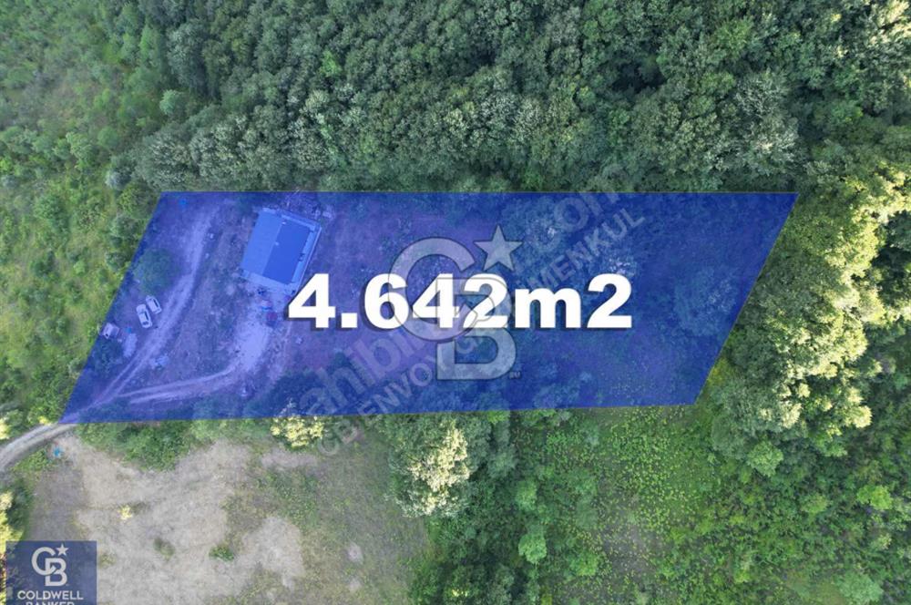 CB ENVOY'dan İhsaniye'de Doğayla İç İçe Deniz Manzaralı 4.642m2