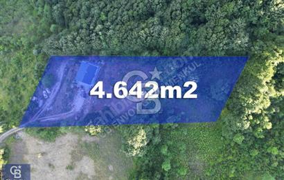 CB ENVOY'dan İhsaniye'de Doğayla İç İçe Deniz Manzaralı 4.642m2