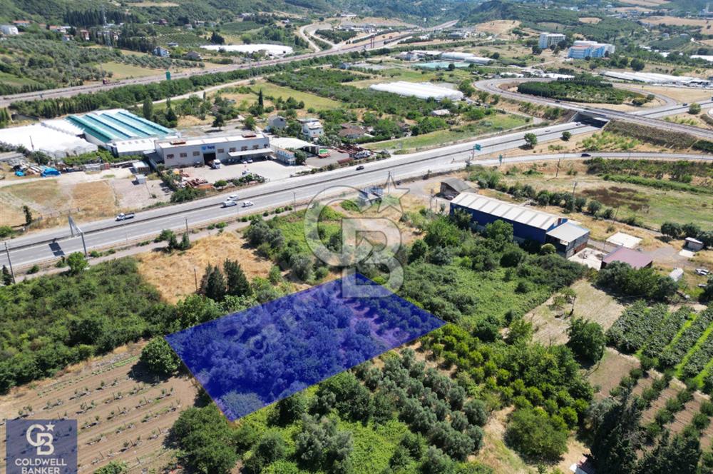 CB ENVOY| Altınova Tersaneler ve Otoyol Yanı Başında Ticari Arsa