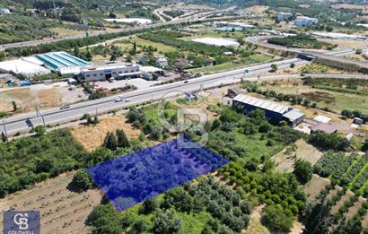 CB ENVOY| Altınova Tersaneler ve Otoyol Yanı Başında Ticari Arsa